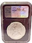 2025 Krugerrand 1oz Silver Coin NGCX 9.9