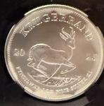 2025 Krugerrand 1oz Silver Coin NGCX 9.9