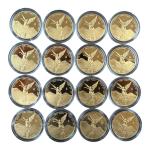 2018 Mexico 1/2 oz Gold Libertad Coin - Rare