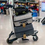 Leopard Print Luggage Tag - 1 Pack