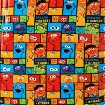 Sesame Street Character Panels 20” Carry-On Luggage