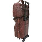 Waxy Two-Piece Travel Luggage Set