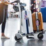 Pink Leopard Pattern 2-Pack Luggage Tags