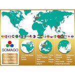 Somago 3-Piece Lightweight Luggage Set - Matcha Green