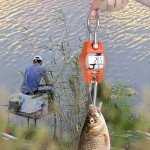 Portable Digital Luggage Hanging Scale 880lb