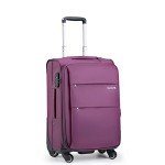 Hanke 20" Expandable Carry-On Softside Luggage (Purple)