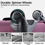 Hanke 20" Expandable Carry-On Softside Luggage (Purple)