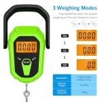 AMIR 110lb Portable Digital Luggage Scale