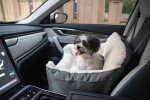 Pet Booster Seat for Cars and SUV Travel
