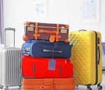 Mini Skater 5-Inch Clear Luggage Name Tag Loops