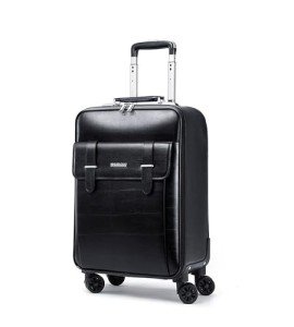 Feilario 20” Waterproof Business Spinner Suitcase