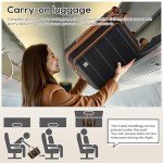 imiomo 20-Inch Spinner Carry-On Luggage with Lock