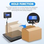 Heavy-Duty 660lbs Postal Scale with LCD Display