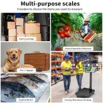 High-Accuracy Digital Scale for Luggage and Shipping