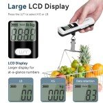 Battery-Free Portable Handheld Luggage Scale - 110lbs
