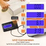 Digital Heavy Duty Luggage and Parcel Scale