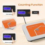 Digital Heavy Duty Luggage and Parcel Scale