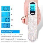 Portable Luggage Scale with Overweight Warning, 110lbs