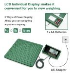 High Accuracy Digital Luggage Shipping Scale