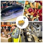 Digital Shipping Scale for Small Business & Luggage