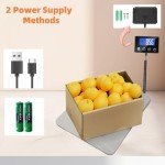 Digital Shipping Scale for Small Business & Luggage