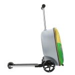 Pokemon Character Art Youth Rolling Luggage