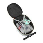 Pokemon Character Art Youth Rolling Luggage