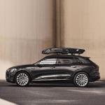 Thule Vector Black Metallic Rooftop Cargo Box