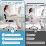 Lumbar Support Cushion with Adjustable Strap