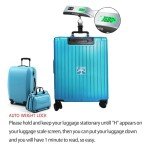 Digital Hanging Luggage Scale for Easy Travel