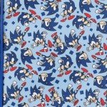 Sonic the Hedgehog Blue 18” Soft-Sided Luggage