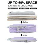 COVAX 4-Piece Purple Packing Cube Set