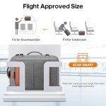 Bagsure Expandable 42L Travel Backpack with Cubes