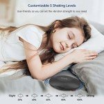 DreamSky Vibrating Alarm Clock for Deep Sleepers