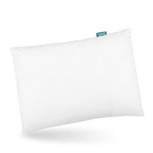 Soft Travel Toddler Pillow with Clean Pillowcase
