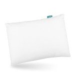 Soft Travel Toddler Pillow with Clean Pillowcase
