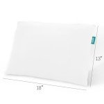 Soft Travel Toddler Pillow with Clean Pillowcase