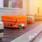 Paw Print Luggage Tags - 2 Pack Set