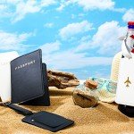 Mr & Mrs Passport Holders and Luggage Tags Set