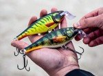 Rapala Super Shad Rap 14 Fishing Lure