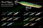 Cotton Cordell Pencil Popper Topwater Lure 7