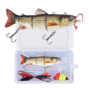 Electric Robotic Fishing Lures with LED Lights