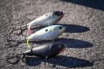 Berkley Choppo Topwater Lure - MF Shad 105