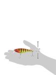 Rapala Super Shad Rap Lure - Hot Perch 14