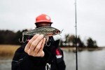 Rapala Super Shadow Rap Lure - Live Perch 16