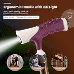 Folding Walking Stick Chair with Massage Feature