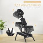 Bigacc Portable Massage Chair with Carry Case