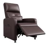 IDEALHOUSE Dual Memory Electric Recliner with Massage