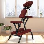 Bigacc Portable Massage Chair with Carry Case