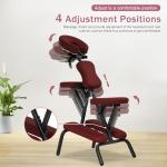 Bigacc Portable Massage Chair with Carry Case